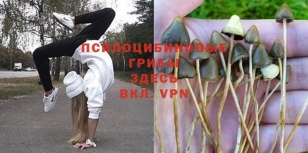 героин Богданович