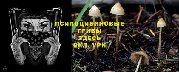каннабис Богородицк